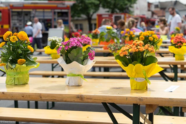 Stadtpicknick 2017 (11.6.2017)